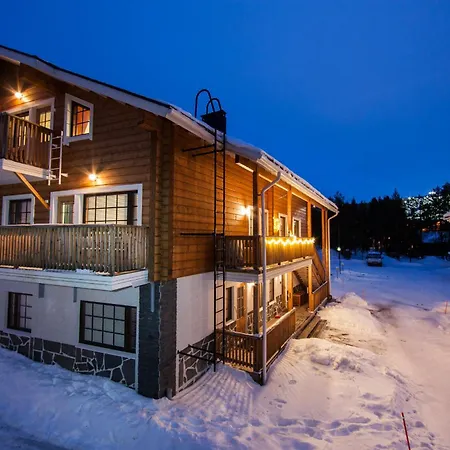 Apartman Alppilevi B 6 Visit *